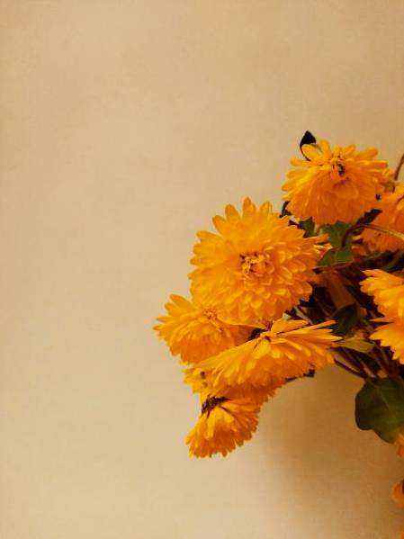 Δημιουργία bouquet στο εργαστήριο