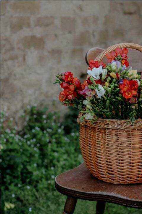 Eco botanical composition