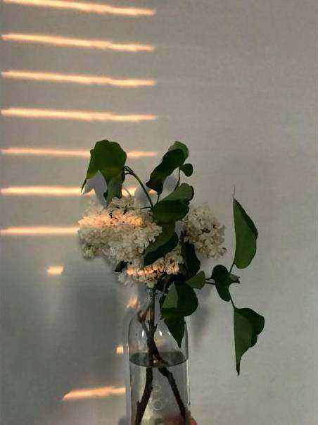 Wedding centerpiece