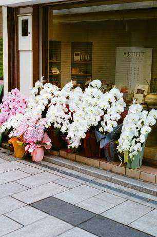 Event floral installation